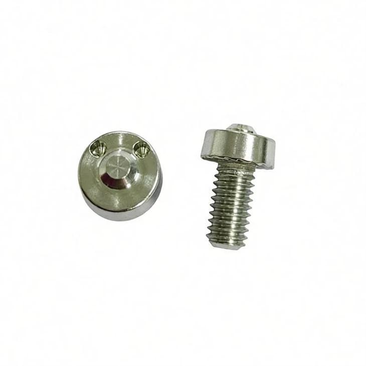 Tamper-Resistant Drilled Spanner Head Screw Tamper-Resistant Drilled Spanner Head Screw