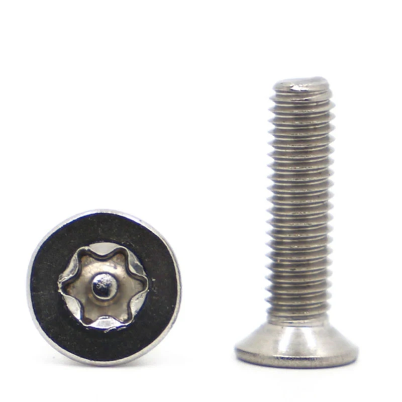 Pin in Torx beveiligingsschroef